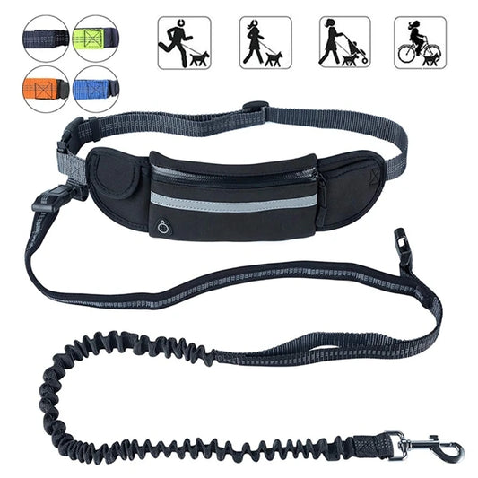 Pet dog cat running retractable belt reflective elastic band walking training dog leash collar set